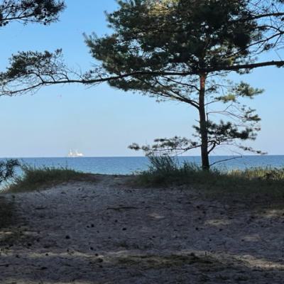 Rügen